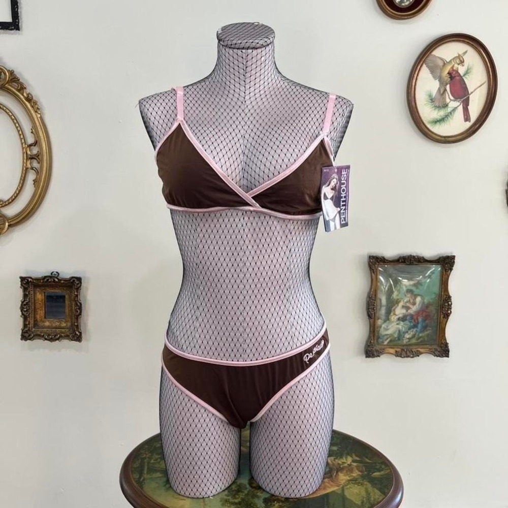 Vintage Y2K Penthouse Lingerie Brown & Pink Microfibre Bikini Set
